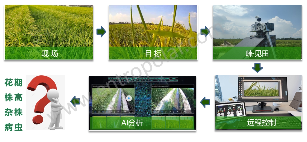 逻辑图.png